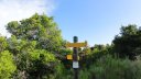 ondres_juin_2022_027.JPG