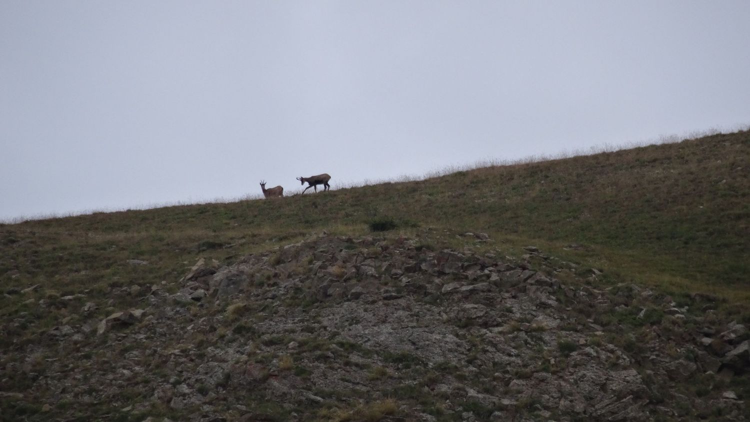 tour_lac_aout_2019_13.JPG