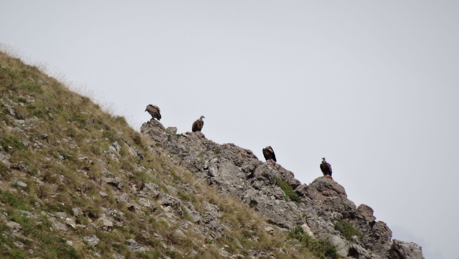 tour_lac_aout_2019_79.JPG