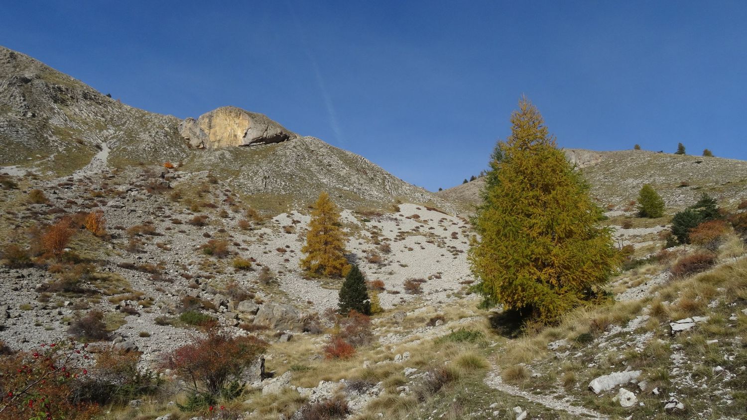 groum_sellanche_nov_2019_05.JPG