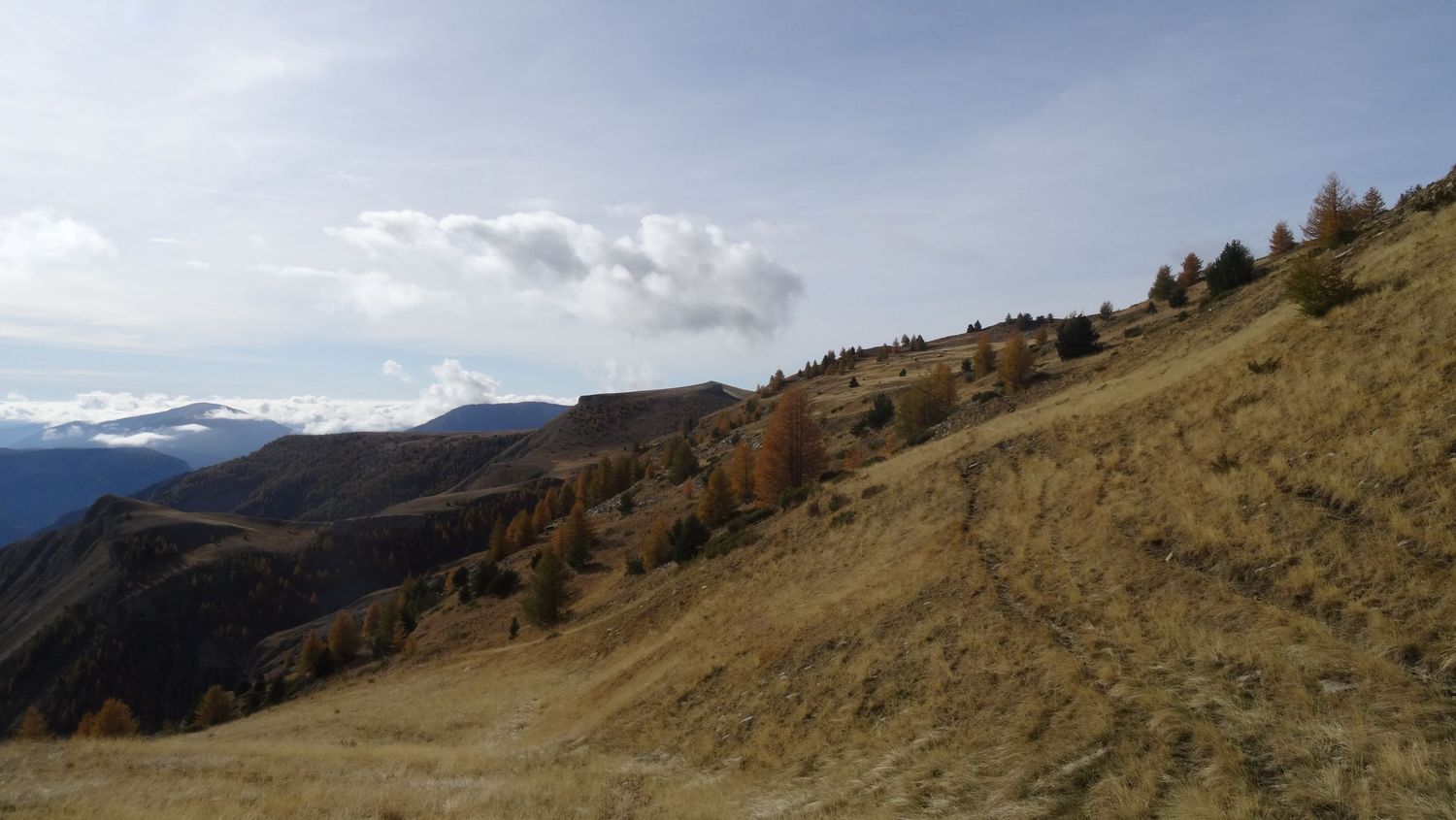 groum_sellanche_nov_2019_39.JPG