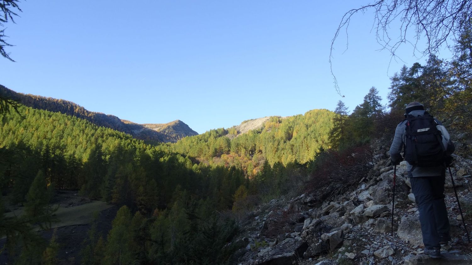 joyeux-chabaud_oct_2019_2019_15.JPG
