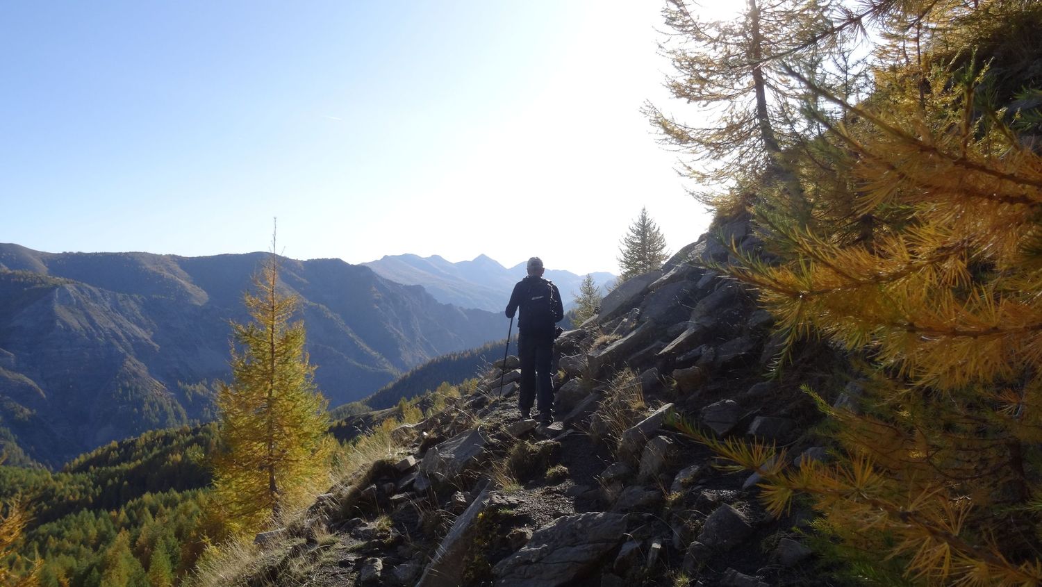 joyeux-chabaud_oct_2019_2019_63.JPG