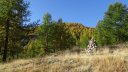 joyeux-chabaud_oct_2019_2019_41.JPG