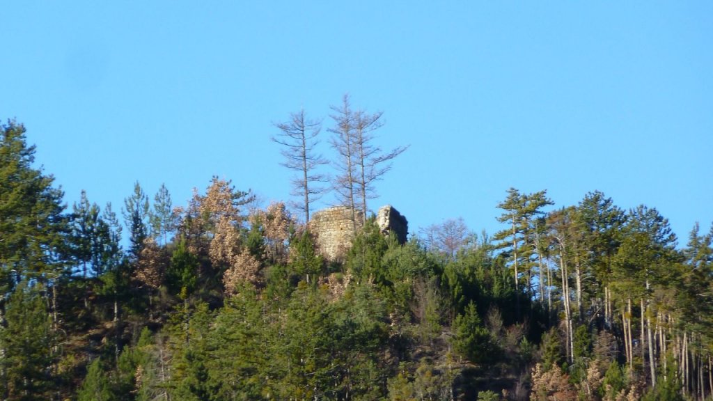 P1160784.JPG