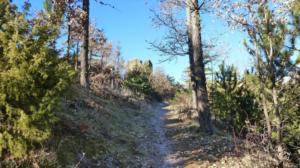P1160800.JPG