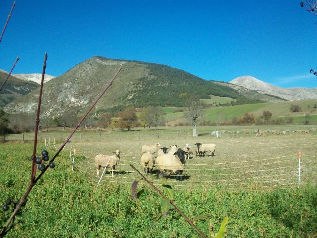 100_7138.JPG