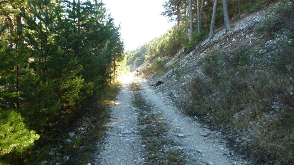 P1160474.JPG