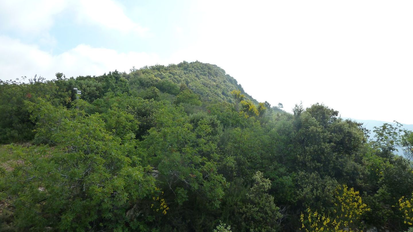 pilon_st_clement_juin_2012_061.JPG