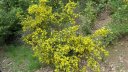 pilon_st_clement_juin_2012_067.JPG