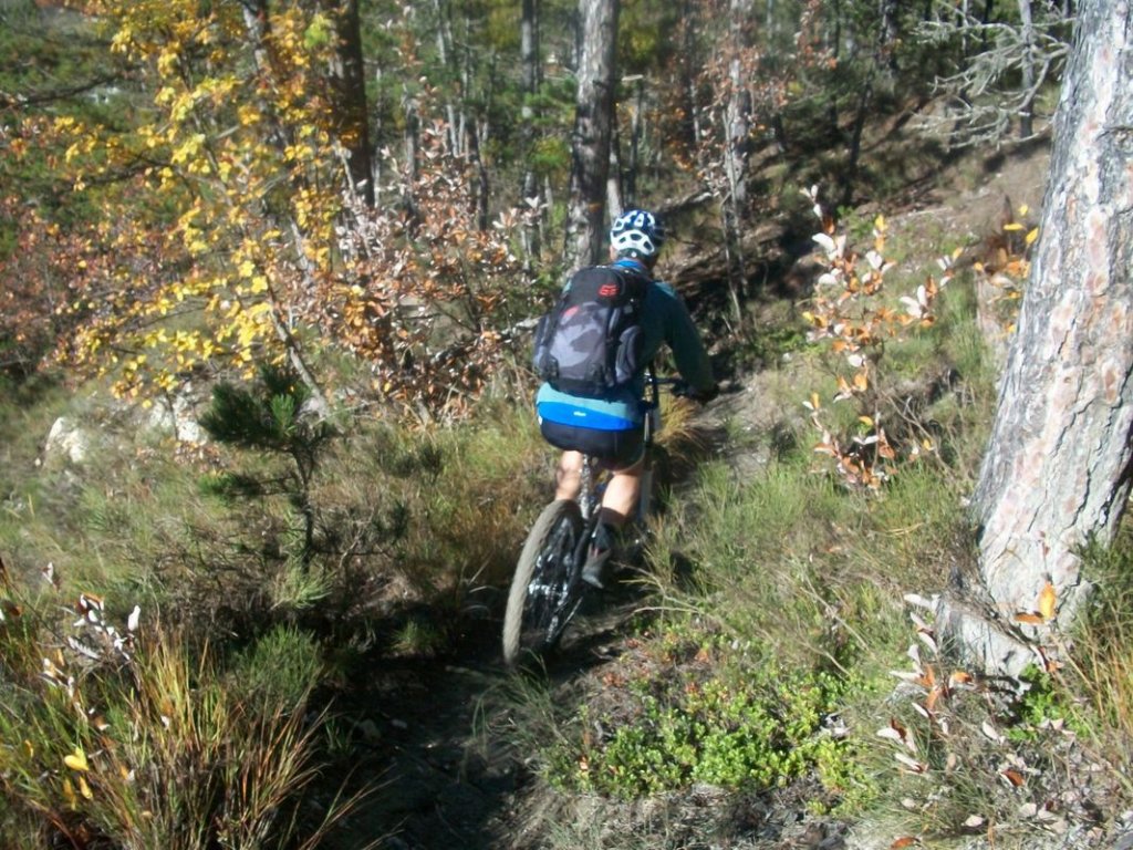 100_7093.JPG