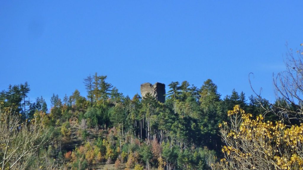 P1160375.JPG