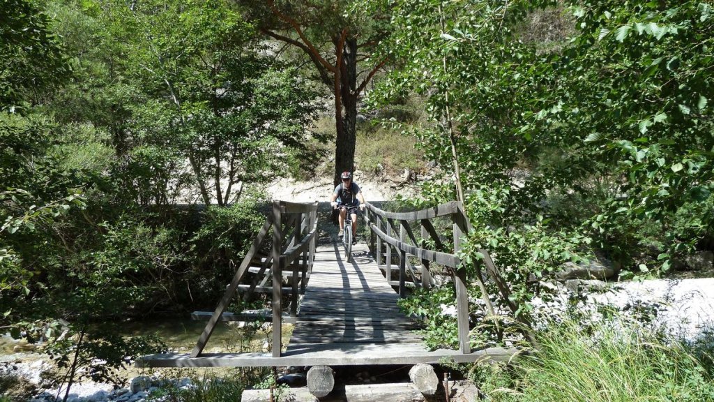 P1130230.JPG