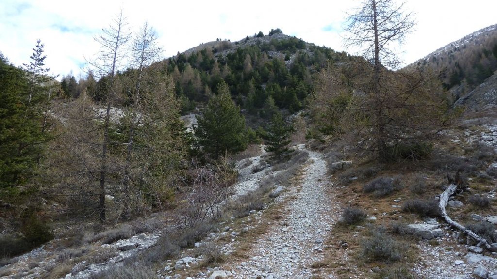 plaine_de_jassaud_avril_2016_006.JPG