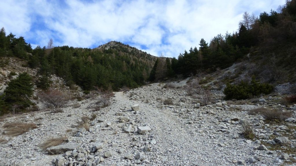 plaine_de_jassaud_avril_2016_009.JPG