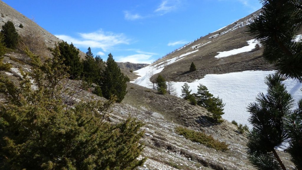 plaine_de_jassaud_avril_2016_024.JPG