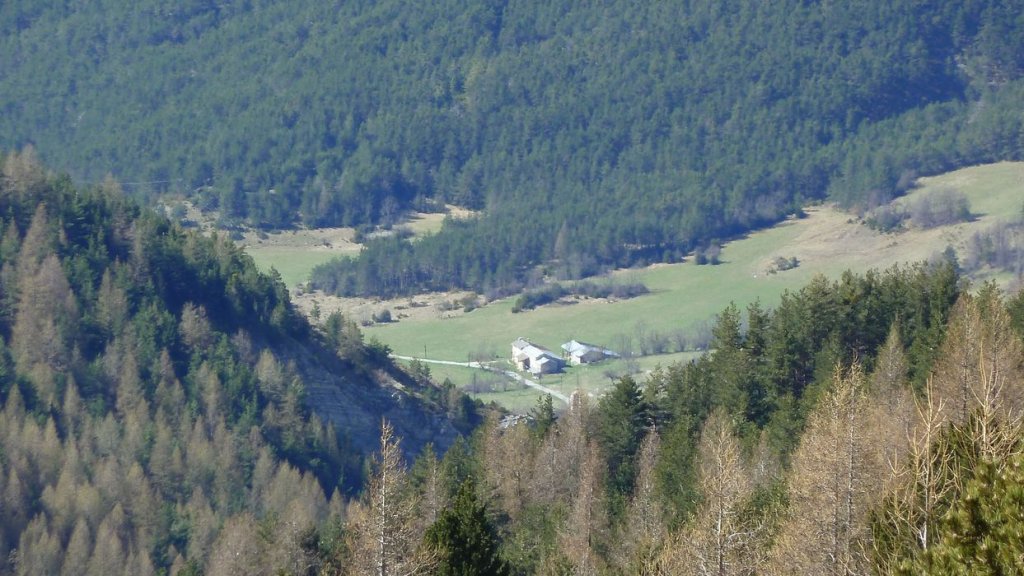 plaine_de_jassaud_avril_2016_027.JPG