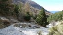 plaine_de_jassaud_avril_2016_013.JPG