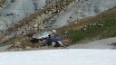plaine_de_jassaud_avril_2016_050.JPG