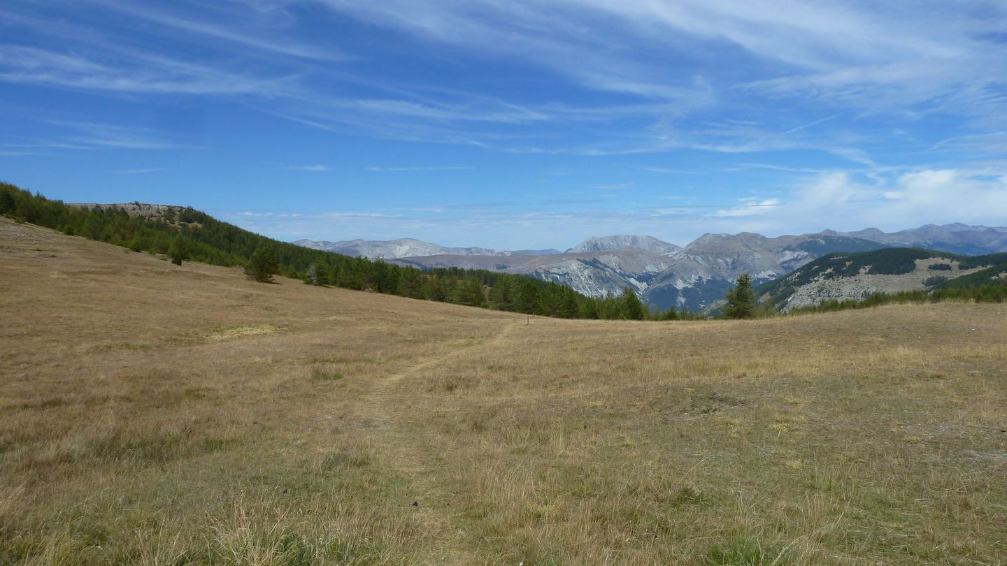 pasquier_serre_carlet_2817429.JPG