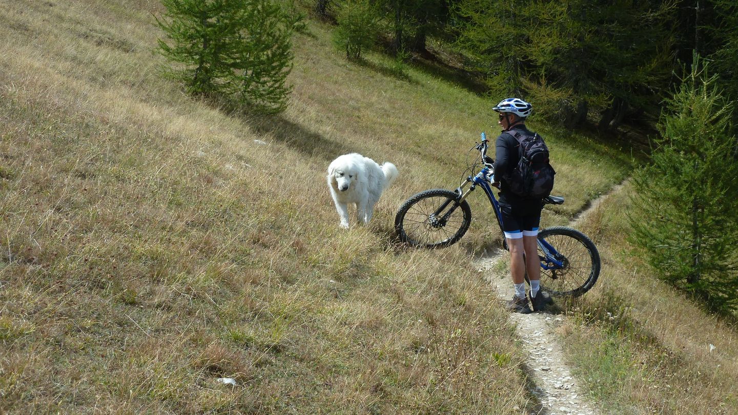pasquier_serre_carlet_2818129.JPG