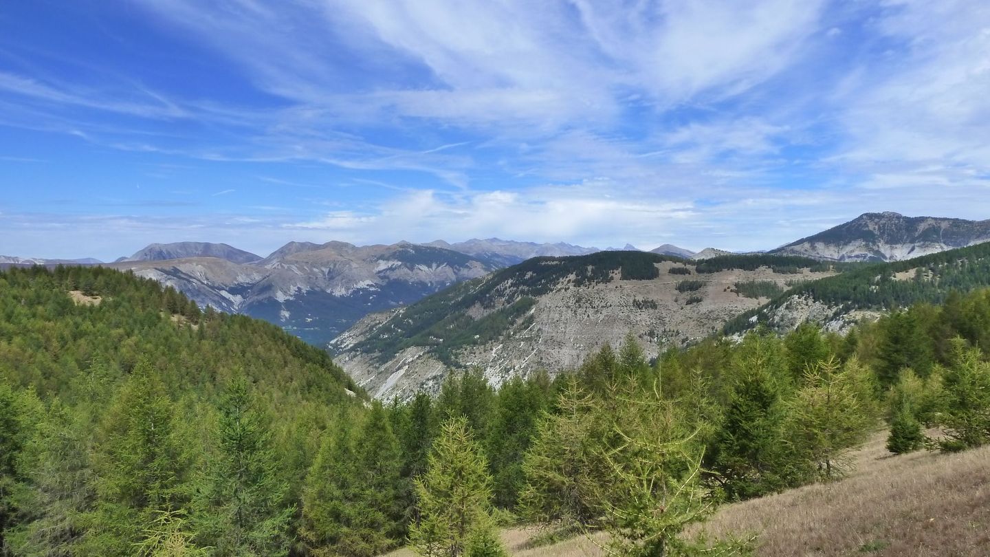 pasquier_serre_carlet_2818229.JPG