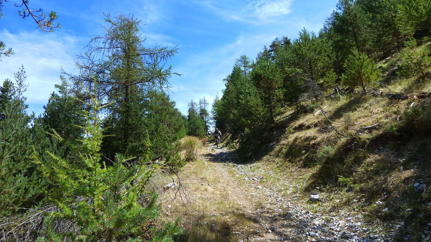 pasquier_serre_carlet_2820729.JPG