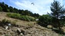 pasquier_serre_carlet_2820229.JPG