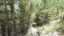 pasquier_serre_carlet_2820629.JPG