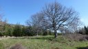 plateau_agnis_avril_2013_078.jpg
