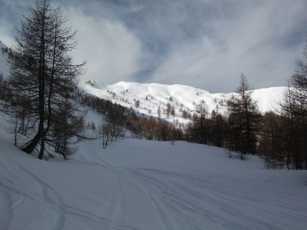 DSCF3337.JPG