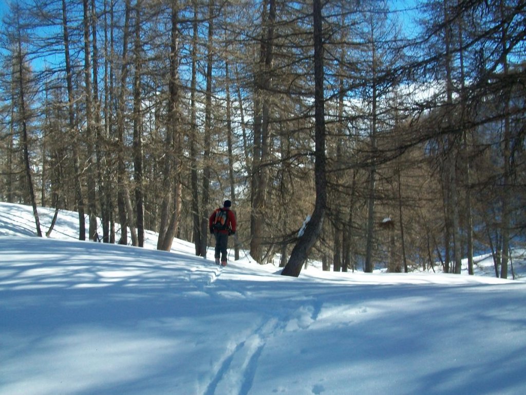 100_7264.JPG