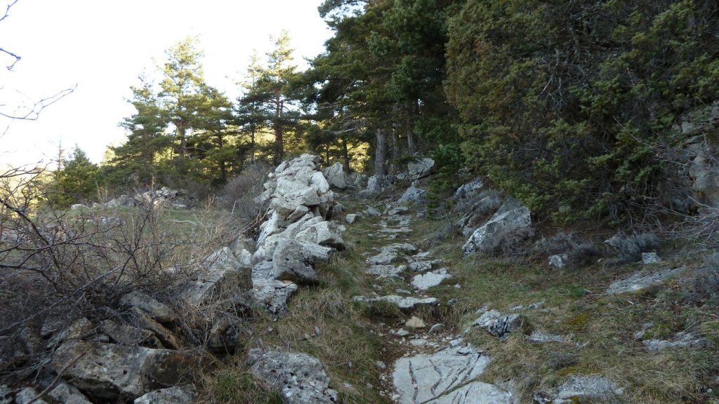 pre_de_thorame_avril_2016_005.JPG