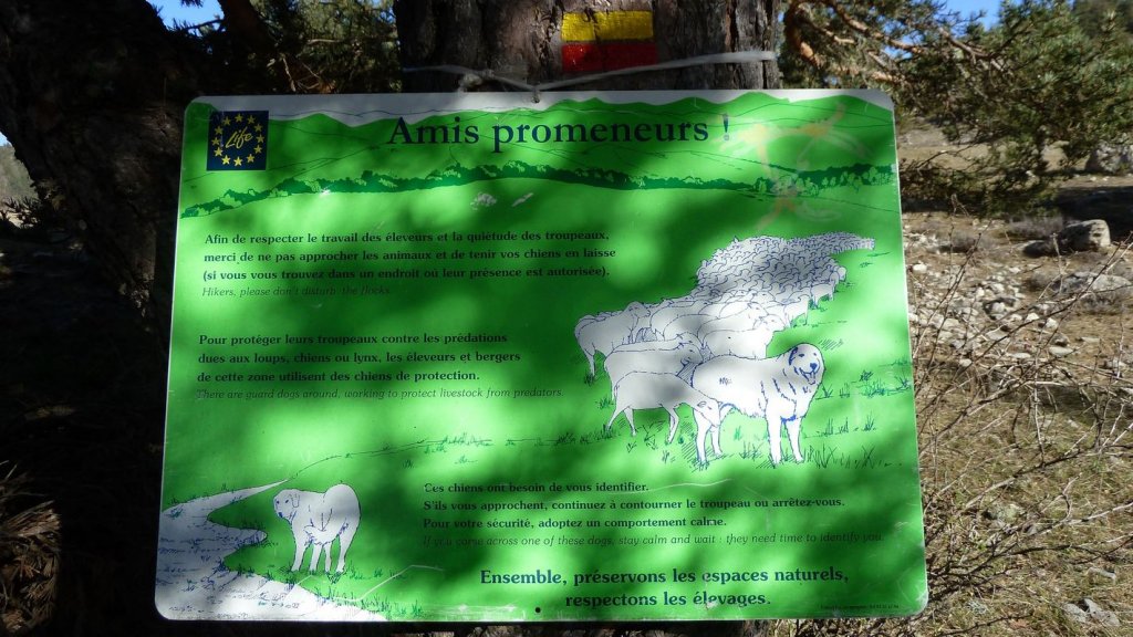 pre_de_thorame_avril_2016_011.JPG