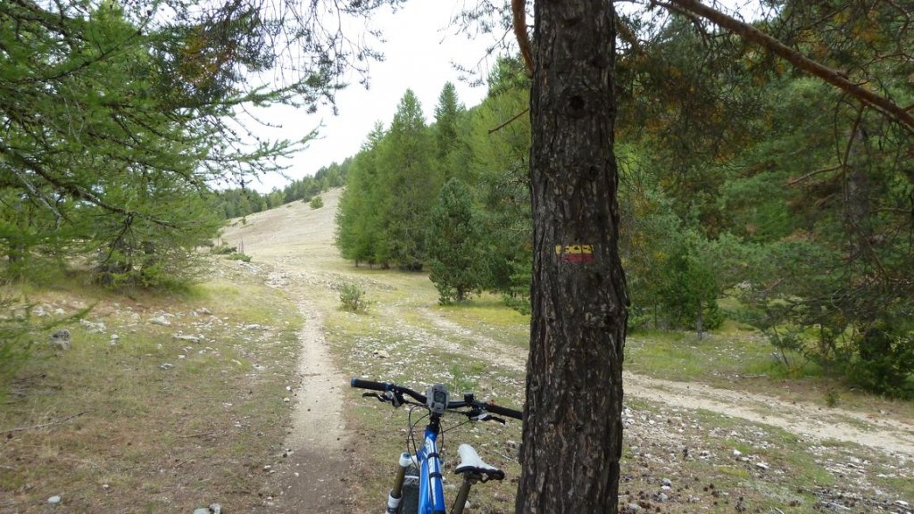 pre_de_thorame_fontanil_2012_020.jpg