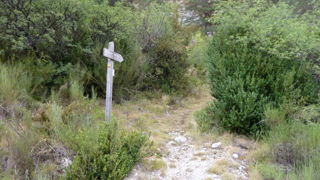 pre_de_thorame_fontanil_2012_054.jpg