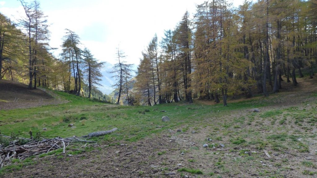 P1100552.JPG