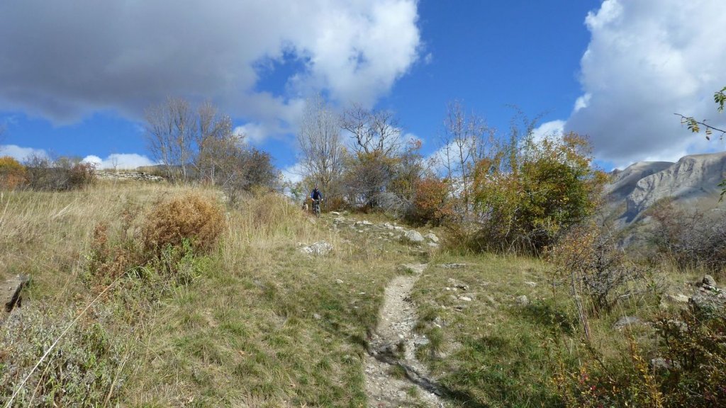 P1100571.JPG