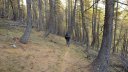 P1100550.JPG