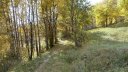 P1100570.JPG