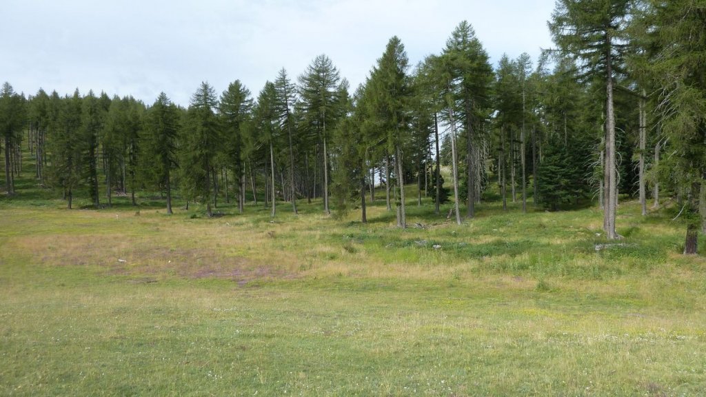 puy_de_rent_2013_088.jpg