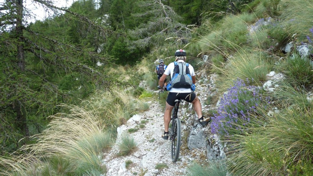 puy_de_rent_2013_092.jpg