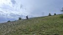 puy_de_rent_2013_032.jpg