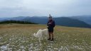 puy_de_rent_2013_072.jpg