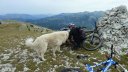 puy_de_rent_2013_074.jpg