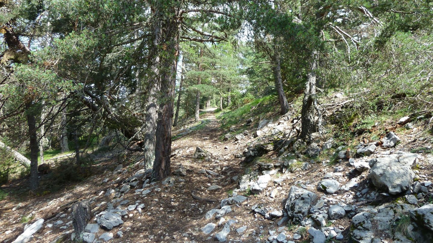 puy_rent_aout_2018_059.JPG