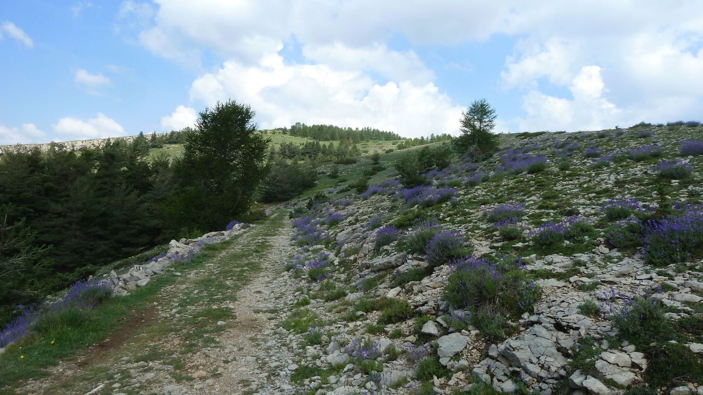 puy_rent_aout_2018_069.JPG