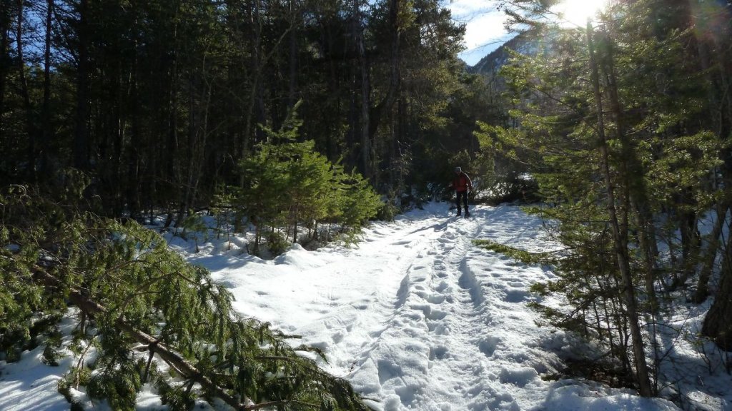raquette_cordoeil_2012_096.jpg