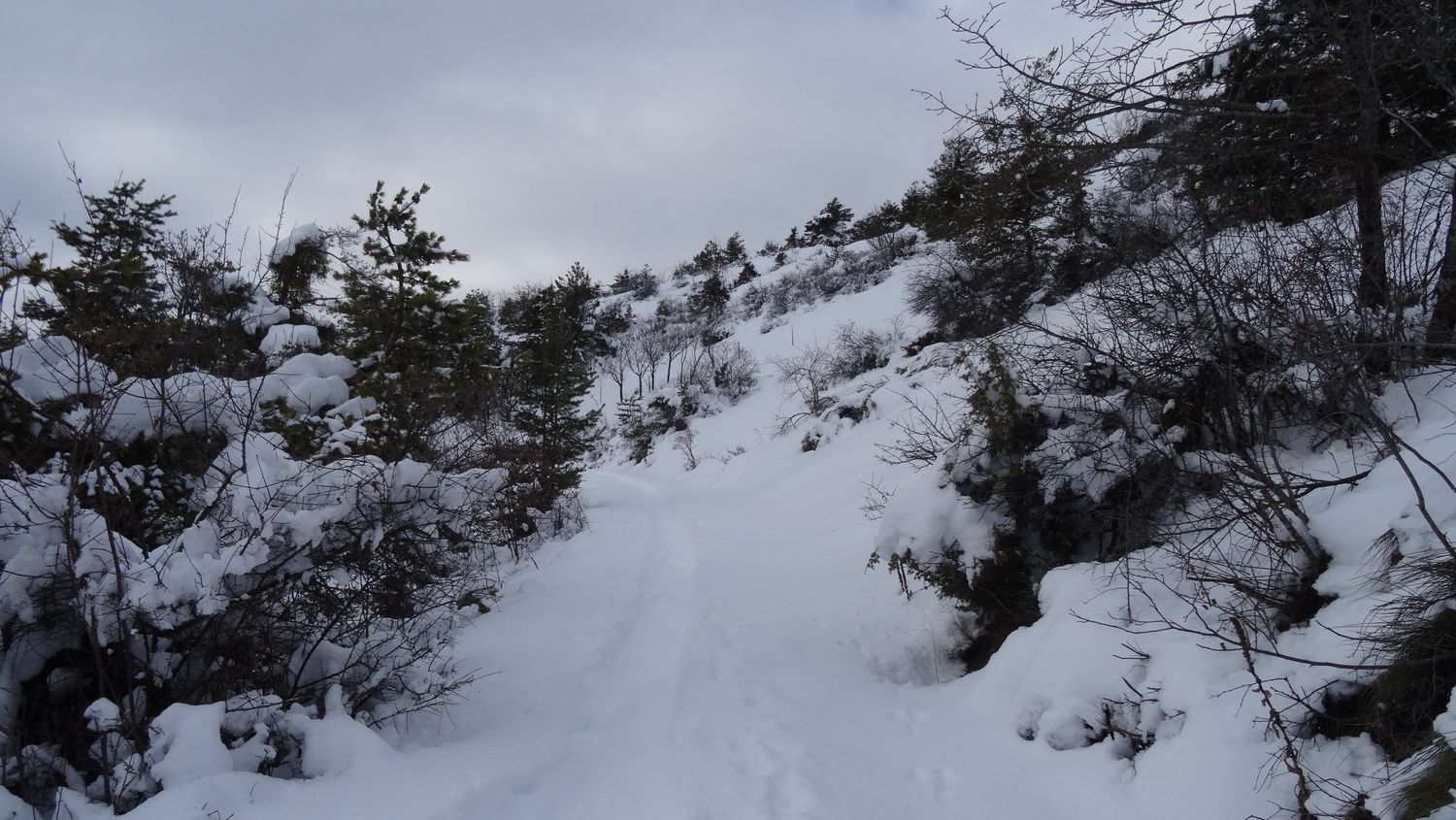 fontblanche_janv_2021_005.JPG