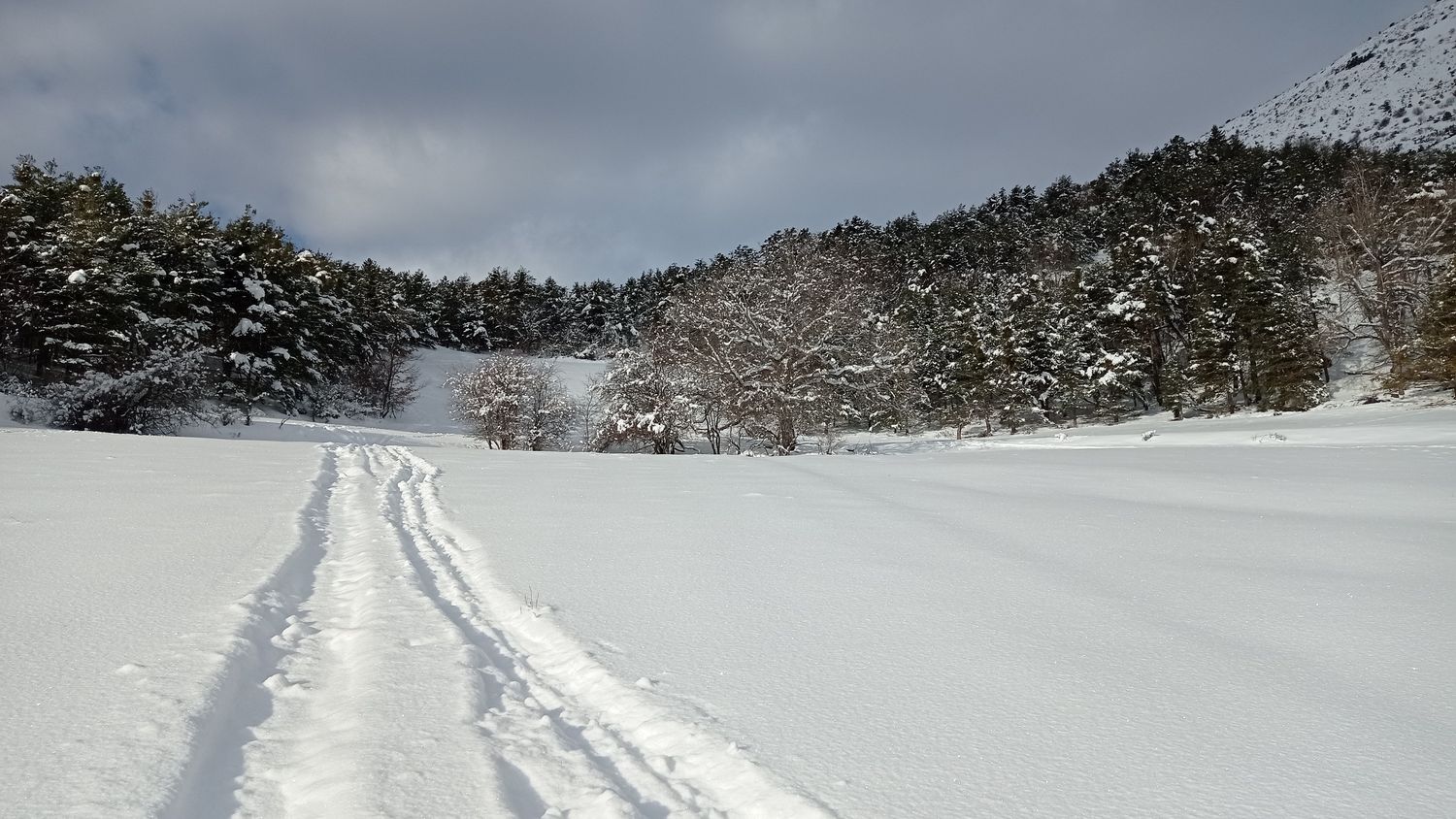 fontblanche_janv_2021_019.jpg